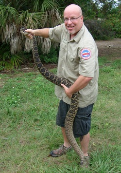 7-ft Eastern Diamondback caught iat a school in Tampa