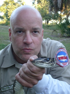 Eastern Diamondback control and catching