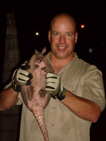 Armadillo control Tampa