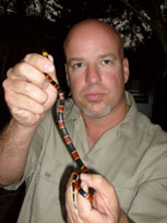 Tampa snake control