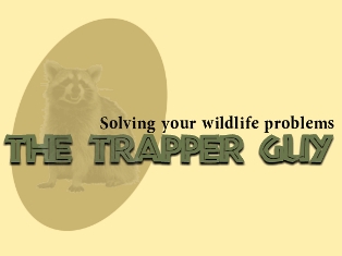 Vulture Trapper Guy